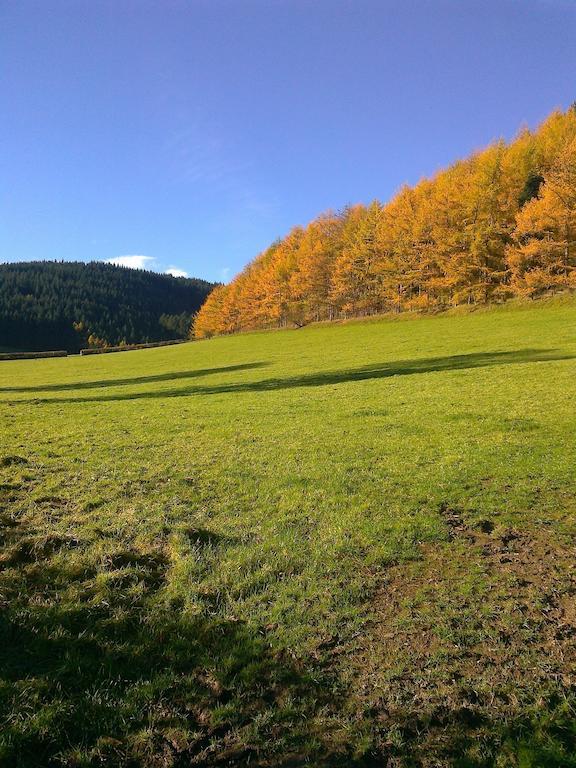 Abbey-Cwmhir Laurel Bank B&B 외부 사진