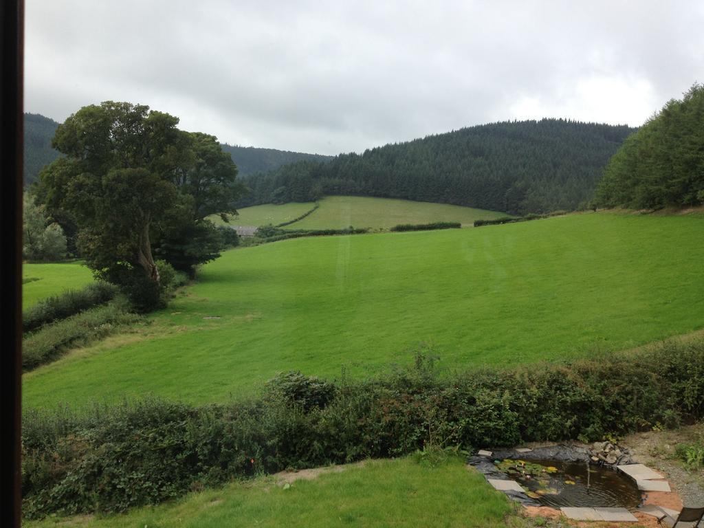 Abbey-Cwmhir Laurel Bank B&B 외부 사진
