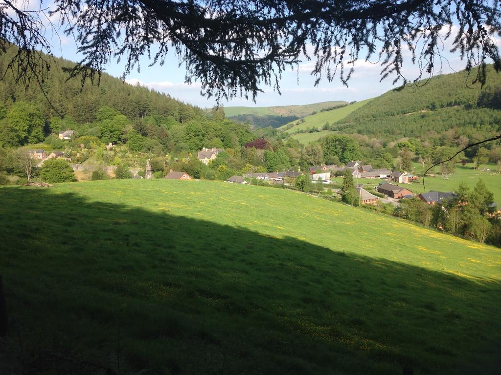 Abbey-Cwmhir Laurel Bank B&B 외부 사진